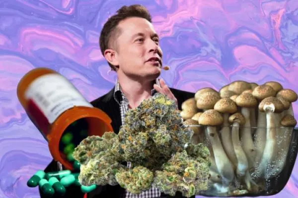 psychedelic and creativity